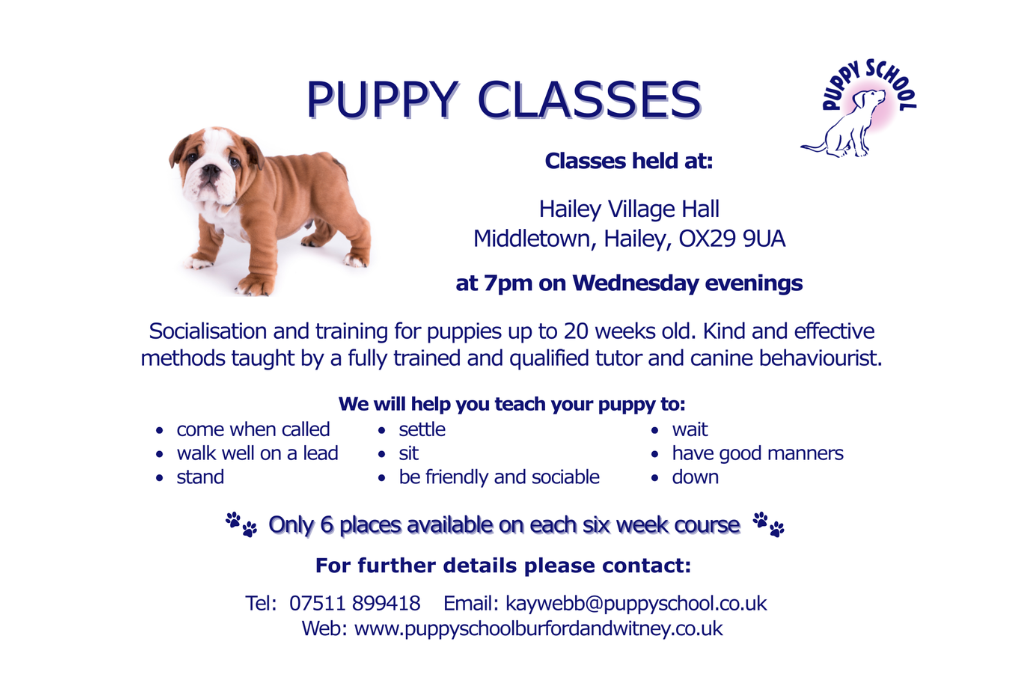 Puppy Classes